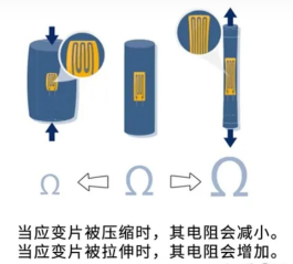 电阻应变式传感器工作原理(图2)