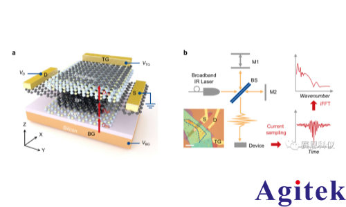 锁相放大器OE1022在黑磷中激子Mott金属绝缘体转变测量中的应用(图1)