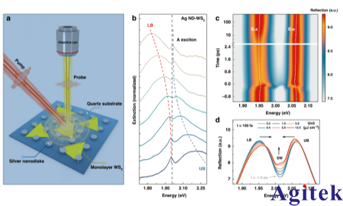 双通道锁相放大器OE1022D应用在“非线性”等离激元激子极化激元研究